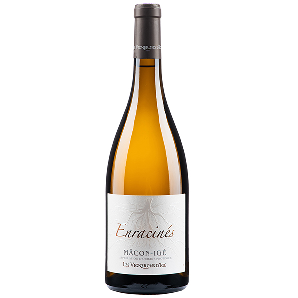 Mâcon Igé "Enracinés"